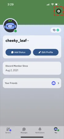 Discord user profile with three dots menu showing Copy User ID option