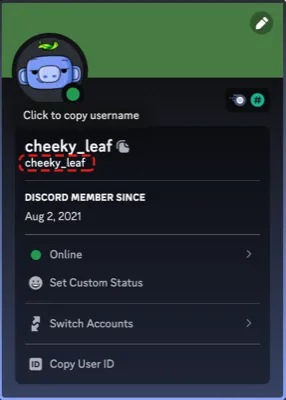 Discord mobile DM showing Copy User ID option in context menu