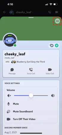 Discord mobile server member list with Copy User ID option