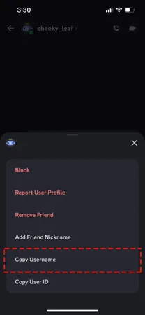 Discord profile settings showing how to copy your own User ID